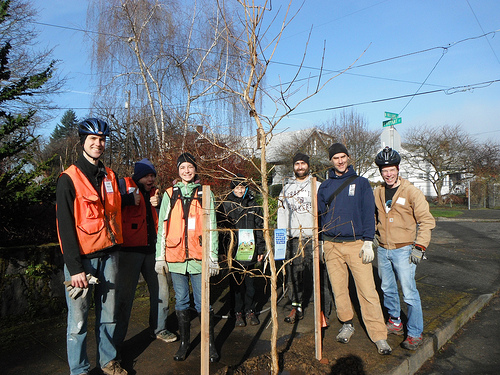 Piedmont – Woodlawn Friends of Trees Planting